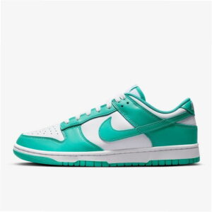 Nike Dunk Low Retro DV0833-101 Turquoise/White Sneakers Lifestyle Unisex