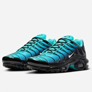 Schuhe NIKE Air Max Plus TN Light Retro türkis schwarz DM0032-401
