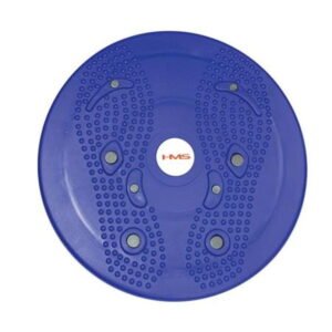 HMS Rotating Disk KO01 17-38-100