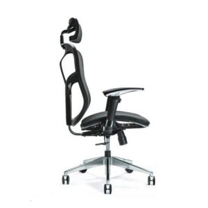 BEMONDI Ergonomic Office Chair ERGO 500 Black