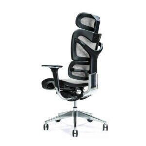 BEMONDI Ergonomic Office Chair ERGO 700 Grey
