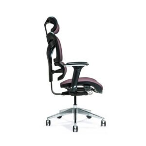 BEMONDI Ergonomic Office Chair ERGO 600 Plum