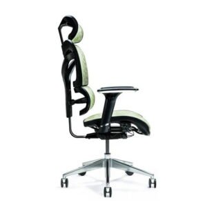 BEMONDI Ergonomic Office Chair ERGO 600 Green