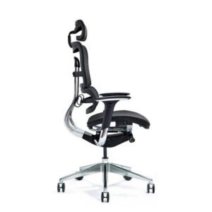 BEMONDI Ergonomic Office Chair ERGO 800-M Black