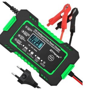 RJ Tianye Battery Charger RJ-C 120501A Black, Green 12V 6A