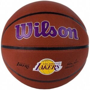 Basketball ball Wilson Team Alliance Los Angeles Lakers Ball WTB3100xblal